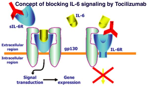 Tocilizumab