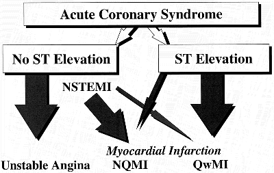 ACC/AHA 2002 Guideline Update for Management of Patients with Unstable Angina and Non-ST-Segment Elevation Myocardial Infarction ( J Am Coll Cardiol 2002; 40:366-74 ) Οξέα στεφανιαία σύνδρομα «Acute