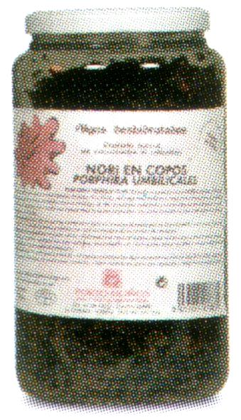 «nori» (Ιαπωνία, Αμερική), «laver» Γένος