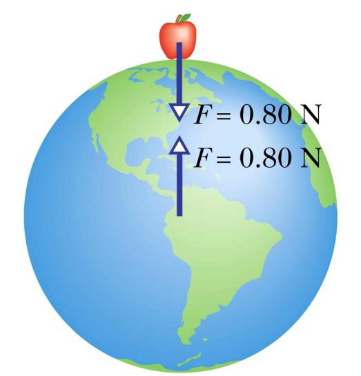 ΝΟΜΟΣ ΤΗΣ ΒΑΡΥΤΗΤΑΣ (NEWTON) Νόμος της Βαρύτητας του Newton σε διανυσματική μορφή m m mm G F G