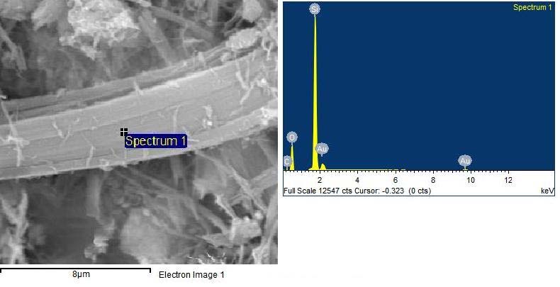 Κεφάλαιο 5: Αποτελέσματα Σχήμα 5.30: Εικόνα ηλεκτρονικού μικροσκοπίου σάρωσης δείγματος χρυσοτιλικού αμιάντου με MLD=85.4% (επεξεργασία με γαλακτικό οξύ 1.5 N για 6hr στους 100 C) Σχήμα 5.