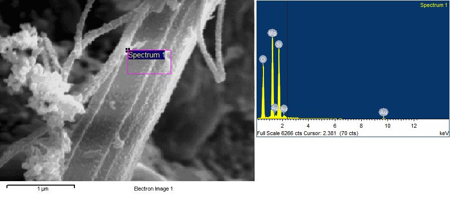 Κεφάλαιο 5: Αποτελέσματα Σχήμα 5.66: Εικόνα ηλεκτρονικού μικροσκοπίου σάρωσης δείγματος μη επεξεργασμένου χρυσοτιλικού αμιάντου. Σχήμα 5.67: Εικόνα ηλεκτρονικού μικροσκοπίου σάρωσης δείγματος χρυσοτιλικού αμιάντου μετά από υδροθερμική επεξεργασία για 1hr στους 700ºC.