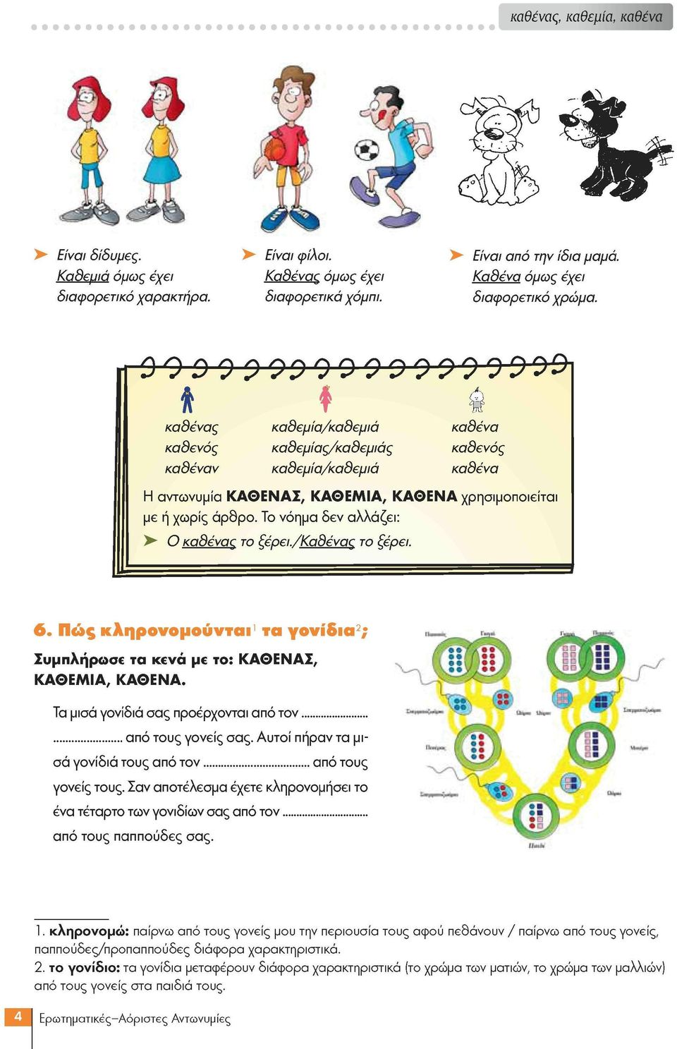 Το νόημα δεν αλλάζει: Ο καθένας το ξέρει./καθένας το ξέρει. 6. Πώς κληρονομούνται 1 τα γονίδια 2 ; Συμπλήρωσε τα κενά με το: ΚΑΘ Ε Ν ΑΣ, ΚΑΘΕΜΙΑ, ΚΑΘΕΝΑ.