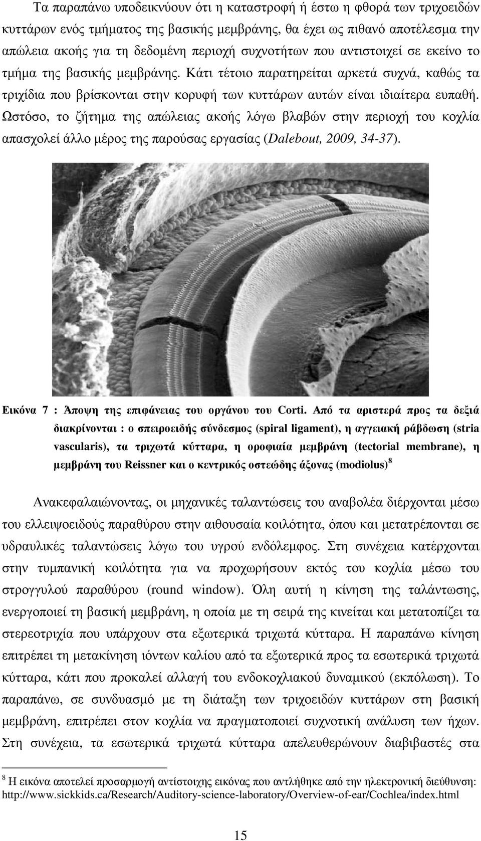 Ωστόσο, το ζήτηµα της απώλειας ακοής λόγω βλαβών στην περιοχή του κοχλία απασχολεί άλλο µέρος της παρούσας εργασίας (Dalebout, 2009, 34-37). Εικόνα 7 : Άποψη της επιφάνειας του οργάνου του Corti.