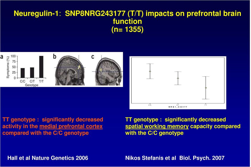 compared with the C/C genotype TT genotype : significantly decreased spatial working memory