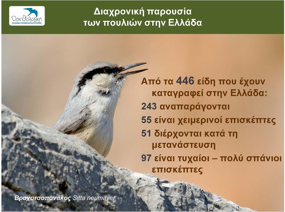 χειμερινοί επισκέπτες 51 διέρχονται κατά τη μετανάστευση 97