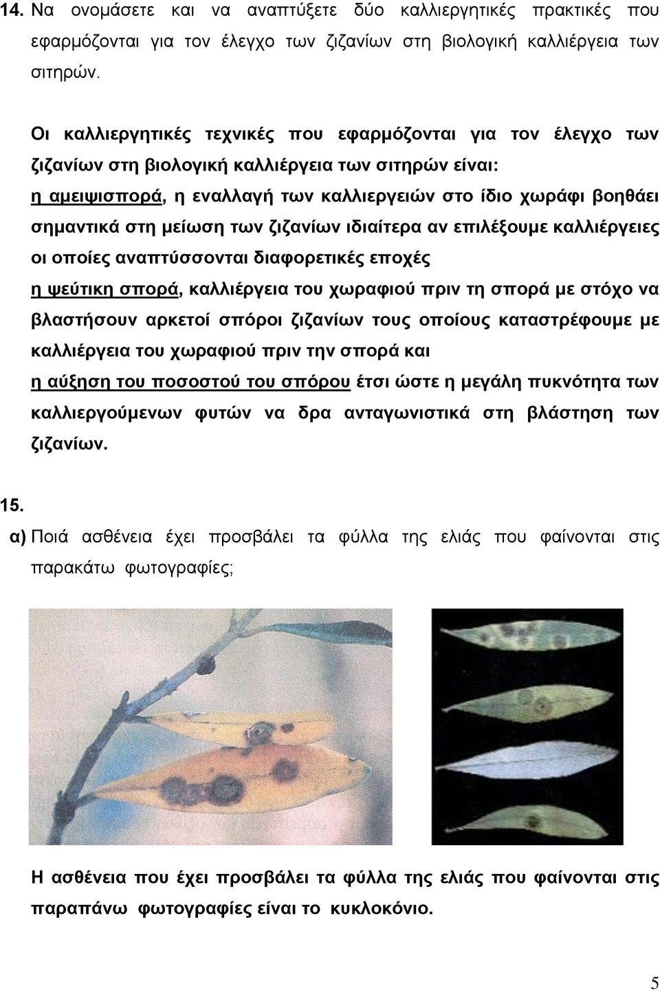 μείωση των ζιζανίων ιδιαίτερα αν επιλέξουμε καλλιέργειες οι οποίες αναπτύσσονται διαφορετικές εποχές η ψεύτικη σπορά, καλλιέργεια του χωραφιού πριν τη σπορά με στόχο να βλαστήσουν αρκετοί σπόροι