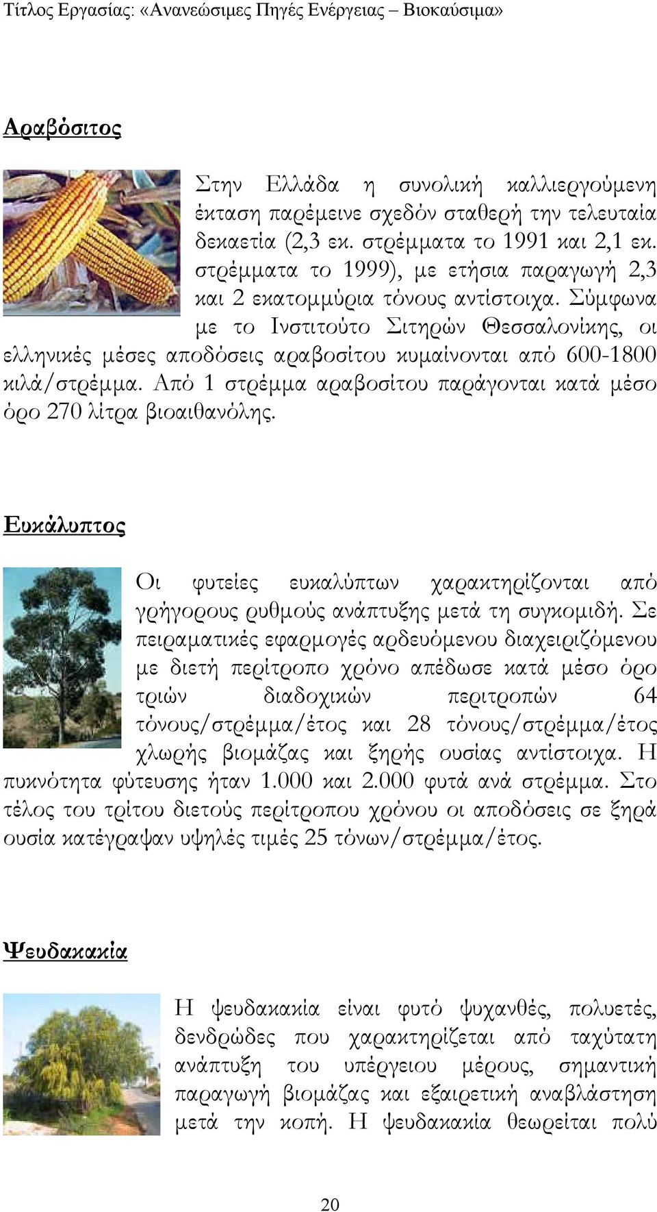 Σύµφωνα µε το Ινστιτούτο Σιτηρών Θεσσαλονίκης, οι ελληνικές µέσες αποδόσεις αραβοσίτου κυµαίνονται από 600-1800 κιλά/στρέµµα. Από 1 στρέµµα αραβοσίτου παράγονται κατά µέσο όρο 270 λίτρα βιοαιθανόλης.