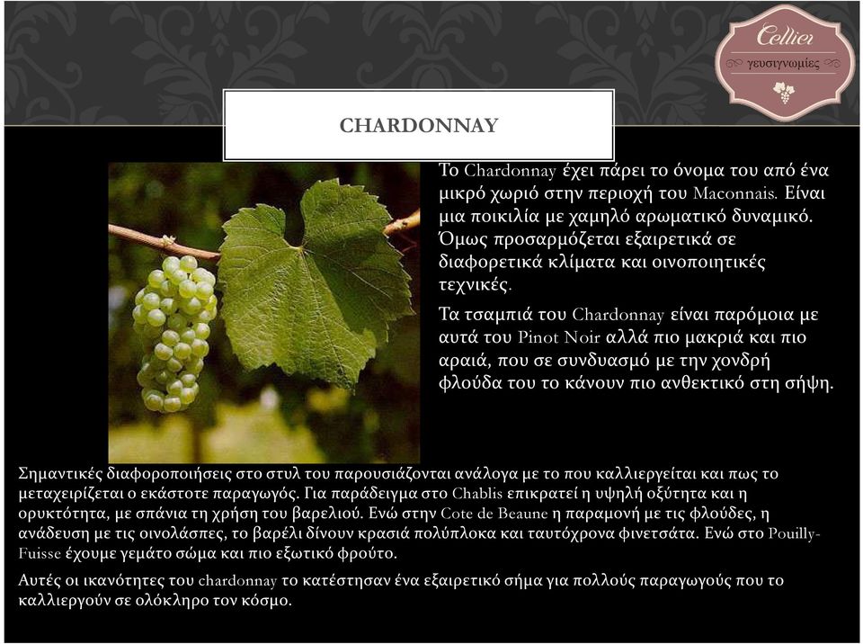 Τα τσαμπιά του Chardonnay είναι παρόμοια με αυτά του Pinot Noir αλλά πιο μακριά και πιο αραιά, που σε συνδυασμό με την χονδρή φλούδα του το κάνουν πιο ανθεκτικό στη σήψη.