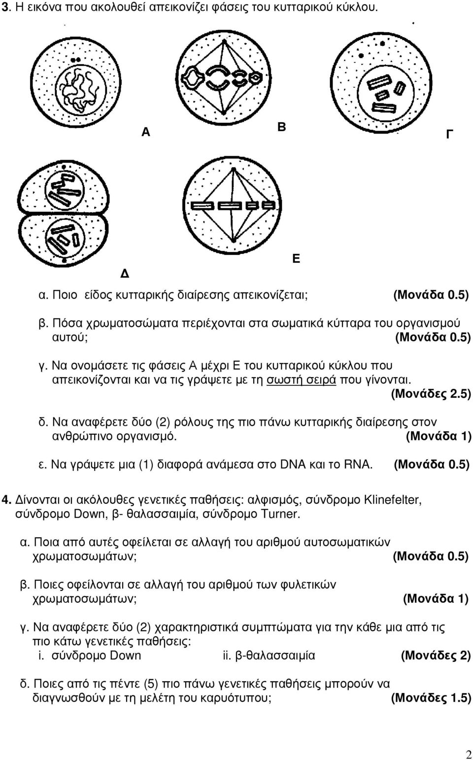 Να ονοµάσετε τις φάσεις Α µέχρι Ε του κυτταρικού κύκλου που απεικονίζονται και να τις γράψετε µε τη σωστή σειρά που γίνονται. (Μονάδες 2.5) δ.