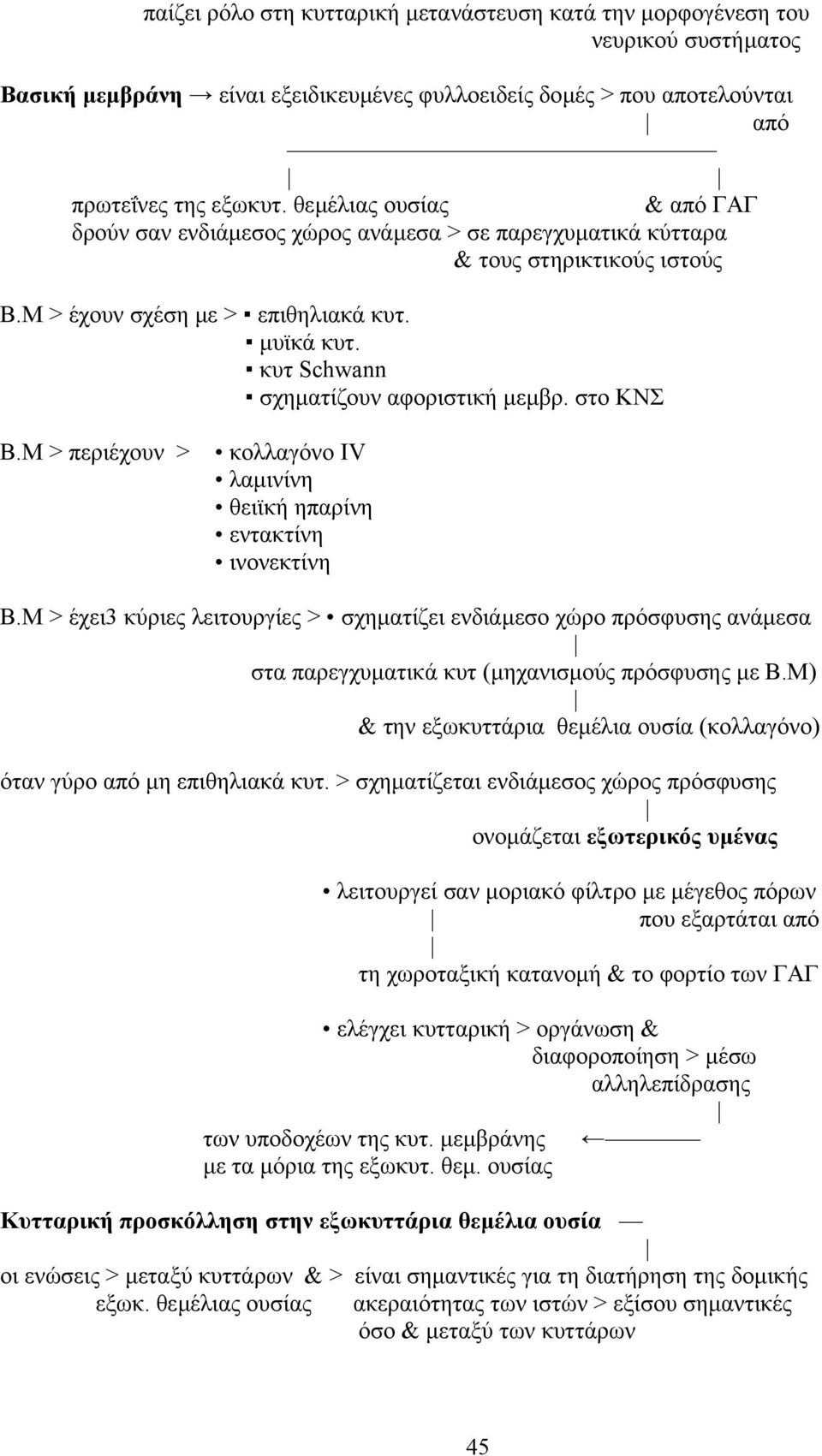 κυτ Schwann σχηµατίζουν αφοριστική µεµβρ. στο KNΣ B.M > περιέχουν > κολλαγόνο IV λαµινίνη θειϊκή ηπαρίνη εντακτίνη ινονεκτίνη B.