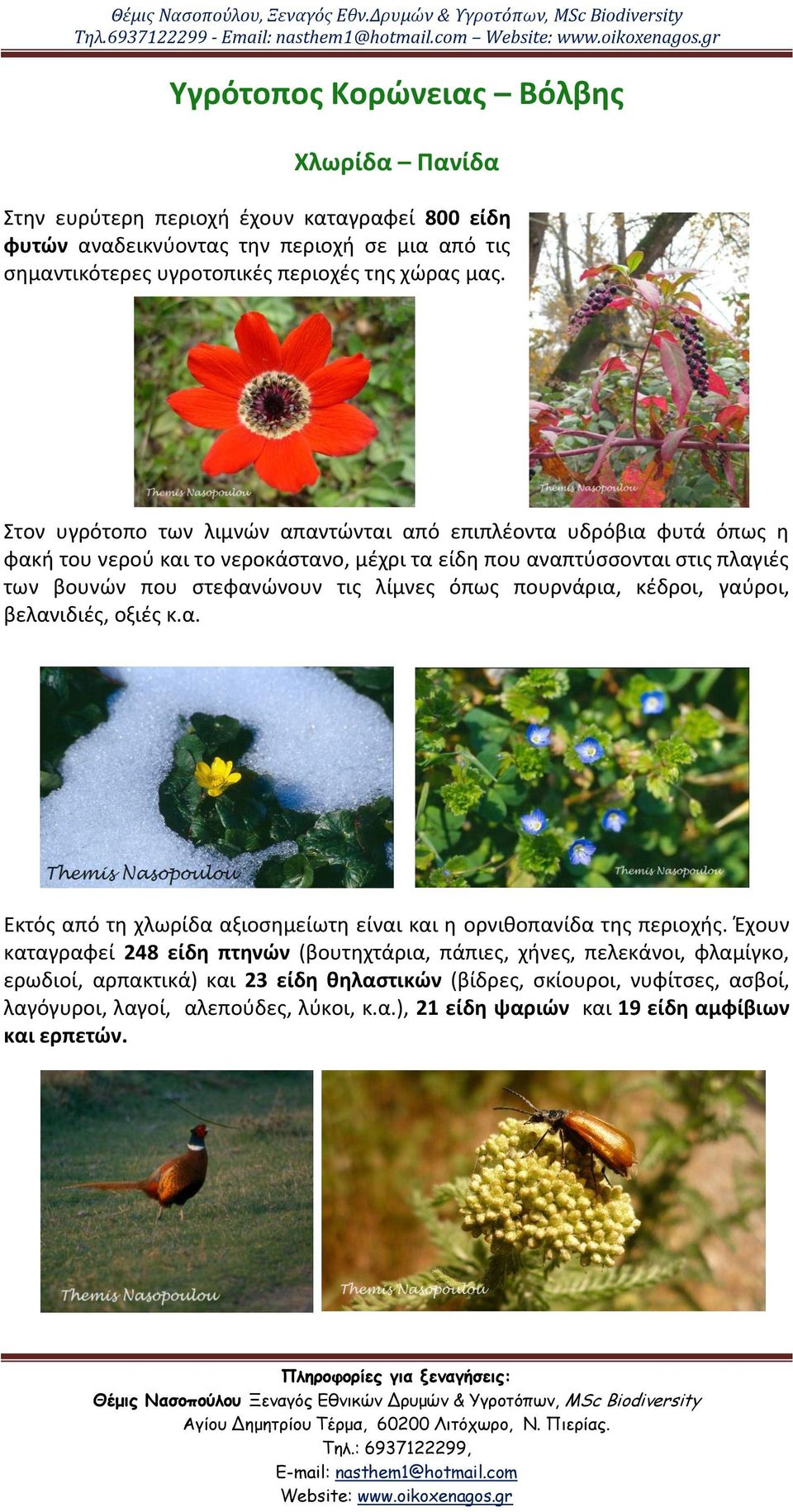 Στον υγρότοπο των λιμνϊν απαντϊνται από επιπλζοντα υδρόβια φυτά όπωσ θ φακι του νεροφ και το νεροκάςτανο, μζχρι τα είδθ που αναπτφςςονται ςτισ πλαγιζσ των βουνϊν που ςτεφανϊνουν τισ λίμνεσ όπωσ