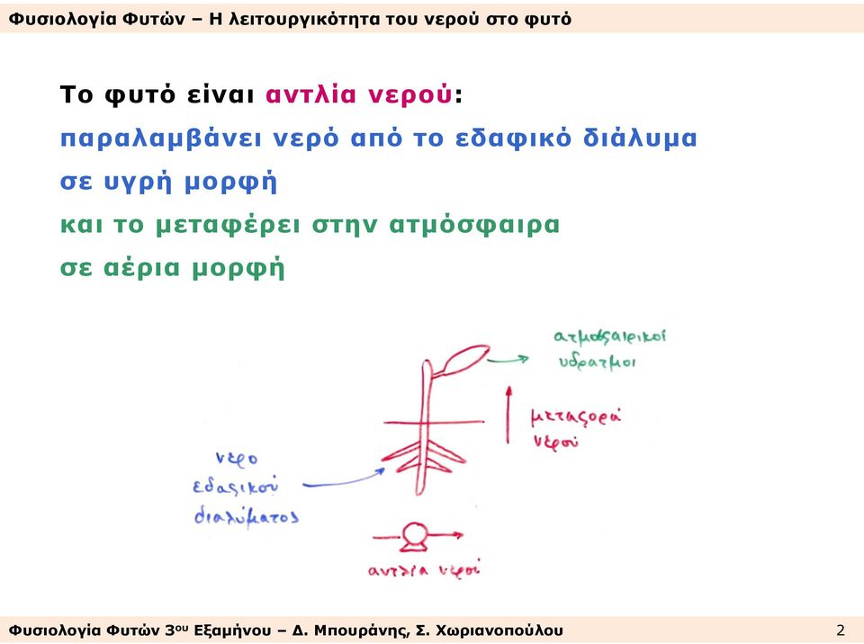 μεταφέρει στην ατμόσφαιρα σε αέρια μορφή