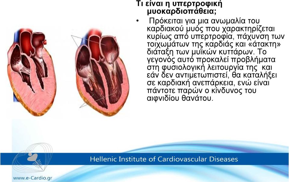 µυϊκών κυττάρων.