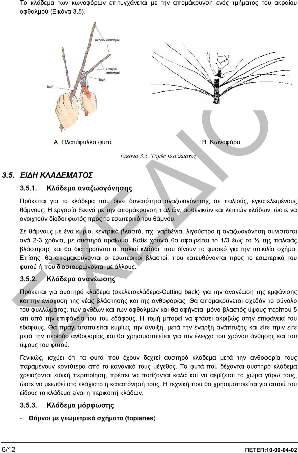 Η εργασία ξεκινά µε την αποµάκρυνση παλιών, ασθενικών και λεπτών κλάδων, ώστε να ανοιχτούν δίοδοι φωτός προς το εσωτερικό του θάµνου. Σε θάµνους µε ένα κύριο, κεντρικό βλαστό, πχ.