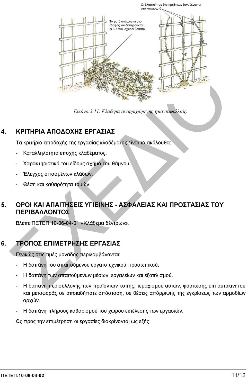 ΟΡΟΙ ΚΑΙ ΑΠΑΙΤΗΣΕΙΣ ΥΓΙΕΙΝΗΣ - ΑΣΦΑΛΕΙΑΣ ΚΑΙ ΠΡΟΣΤΑΣΙΑΣ ΤΟΥ ΠΕΡΙΒΑΛΛΟΝΤΟΣ Βλέπε ΠΕΤΕΠ 10-06-04-01 «Κλάδεµα δέντρων». 6.