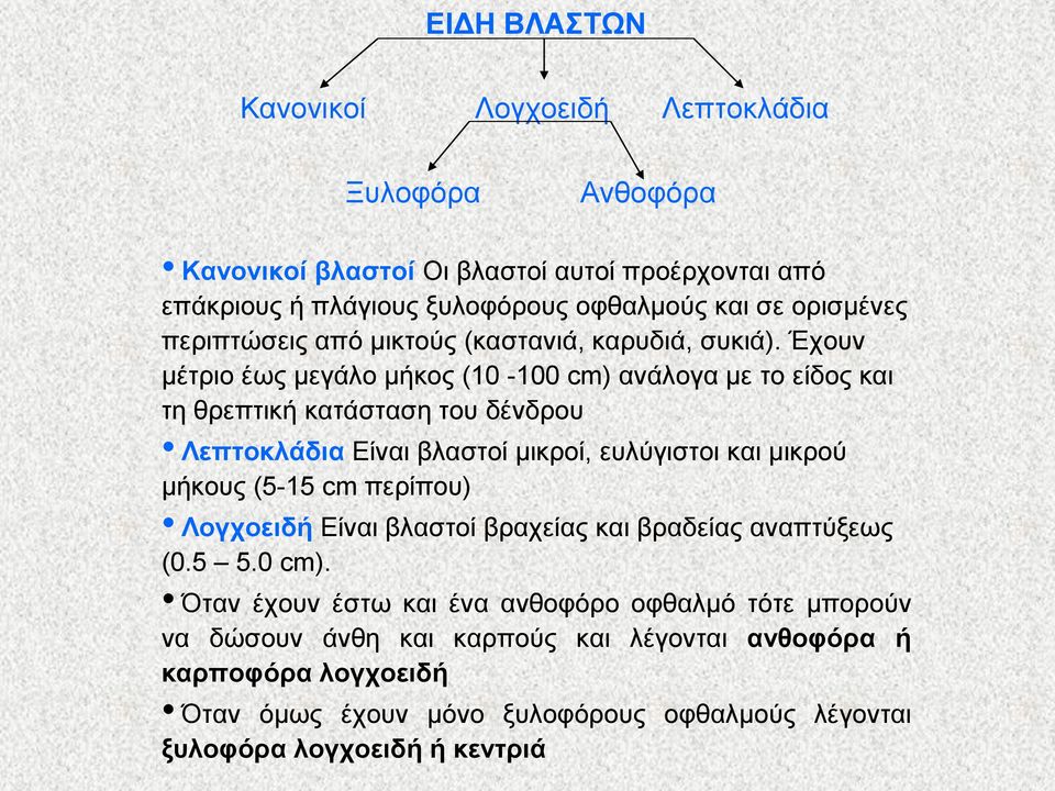 Έρνπλ κέηξην έσο κεγάιν κήθνο (10-100 cm) αλάινγα κε ην είδνο θαη ηε ζξεπηηθή θαηάζηαζε ηνπ δέλδξνπ Λεπηνθιάδηα Δίλαη βιαζηνί κηθξνί, επιύγηζηνη θαη κηθξνύ κήθνπο (5-15