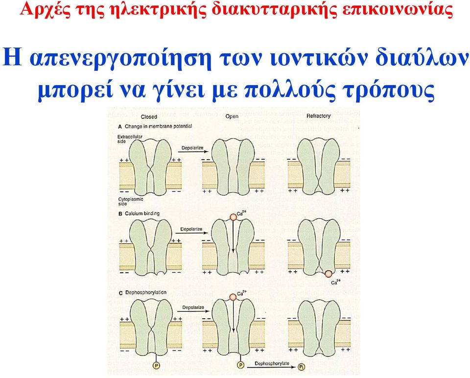 διαύλων μπορεί να