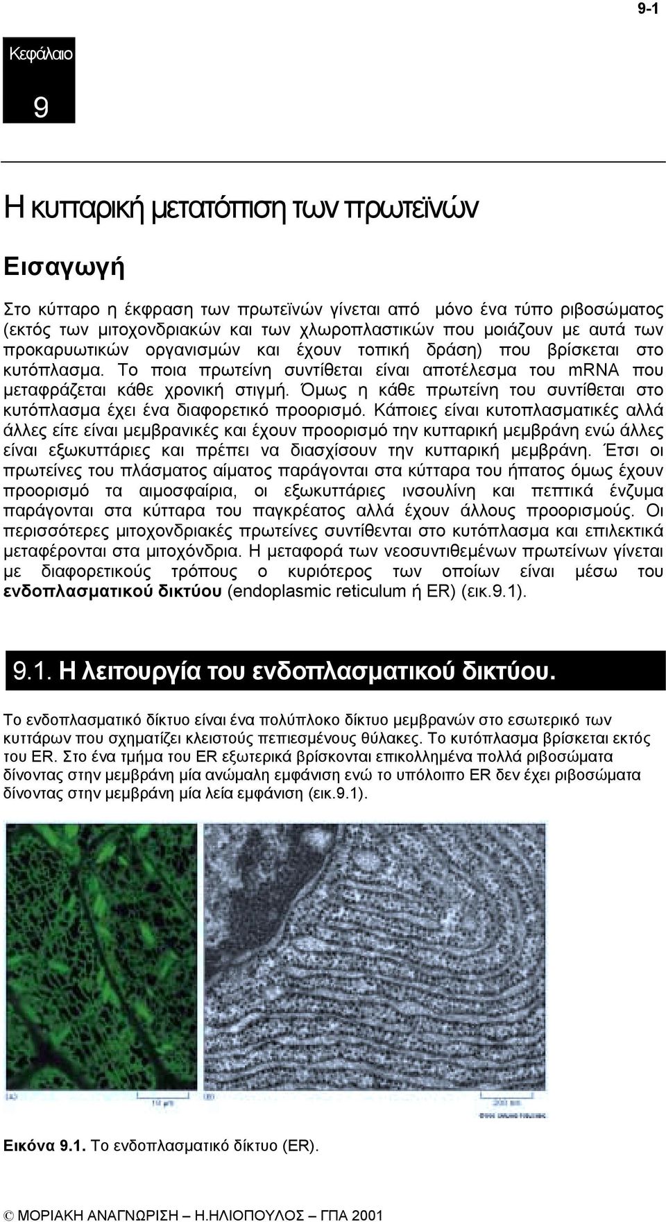 Όµως η κάθε πρωτείνη του συντίθεται στο κυτόπλασµα έχει ένα διαφορετικό προορισµό.