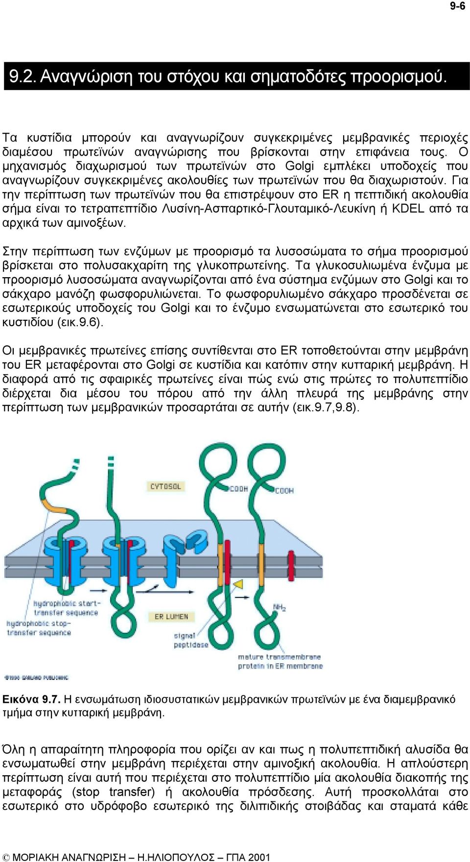 Για την περίπτωση των πρωτεϊνών που θα επιστρέψουν στο ER η πεπτιδική ακολουθία σήµα είναι το τετραπεπτίδιο Λυσίνη-Ασπαρτικό-Γλουταµικό-Λευκίνη ή KDEL από τα αρχικά των αµινοξέων.