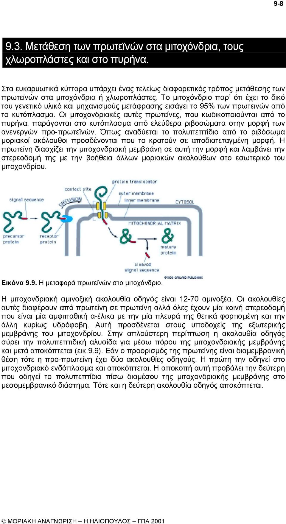 Το µιτοχόνδριο παρ ότι έχει το δικό του γενετικό υλικό και µηχανισµούς µετάφρασης εισάγει το 95% των πρωτεινών από το κυτόπλασµα.