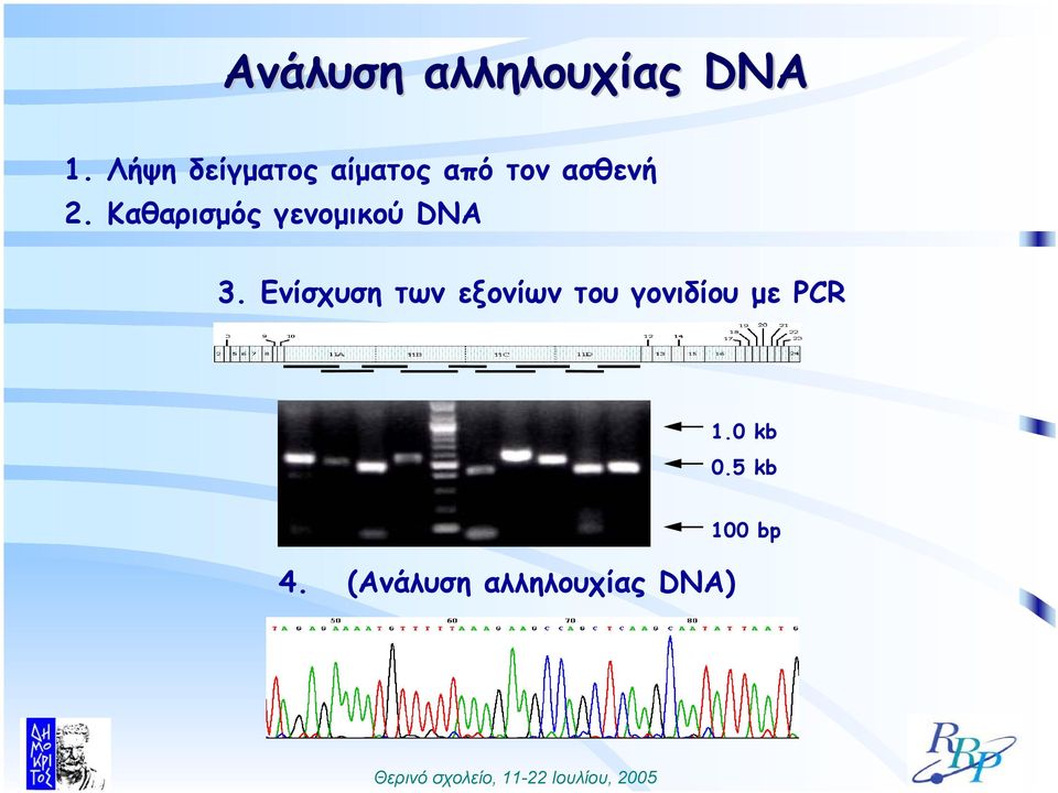 Καθαρισµός γενοµικού DNA 3.