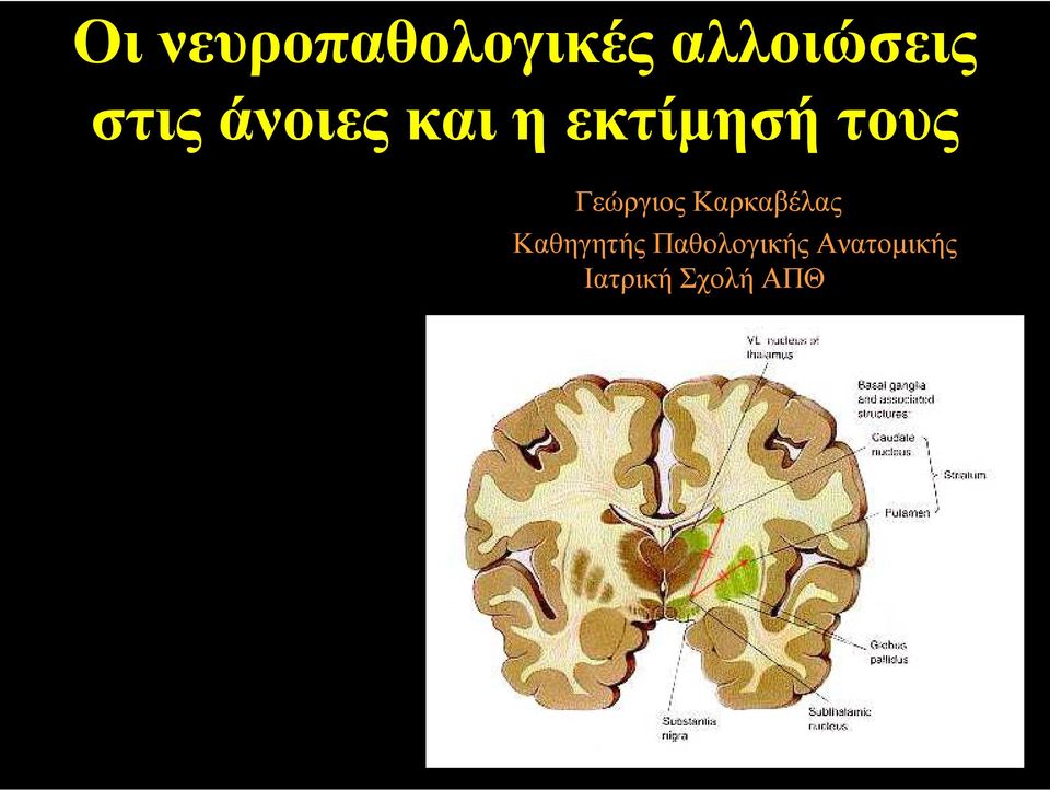 Γεώργιος Καρκαβέλας Καθηγητής