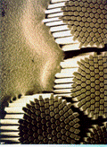 β γ Σχήμα 1.8: α) Υπεραγώγιμα Καλώδια (Cable), β) Σκέλη (Strands) και γ) Νημάτια (Filaments) 1.