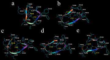 αναλύθηκαν με mass spectrometry analytical RP-HPLC. Τα τελικά πεπτιδικά ανάλογα είχαν καθαρότητα >98%.