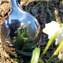 POKUS Slika u sfernom zrcalu PRIBOR: velika žlica za juhu Upute: Ulašti žlicu tkaninom. Ona može poslužiti kao udubljeno i izbočeno zrcalo. Promotri svoju sliku u udubljenoj strani žlice.
