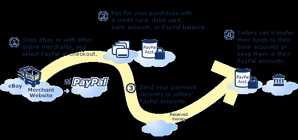PayPal 15