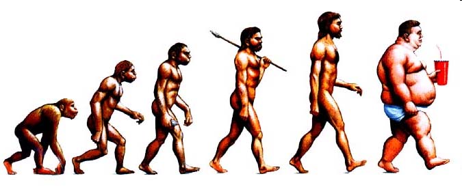 Homo erectus Homo