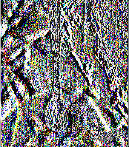 Α.Τ.Ε.Ι.