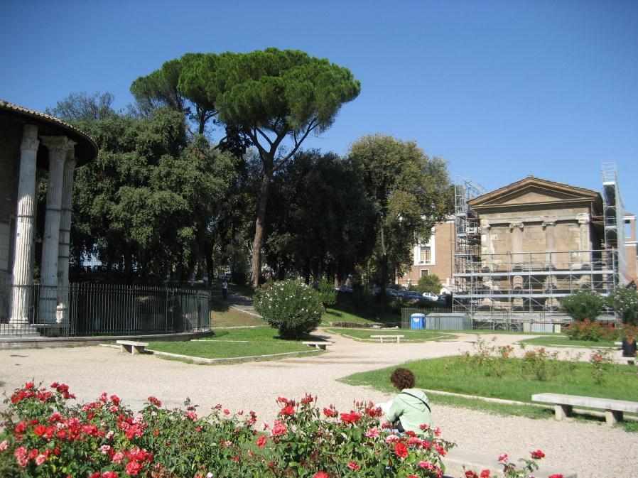 Forum Boarium: o