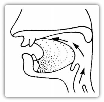 3 Letupan lelangit lembut [k] dan [g] Belakang lidah dirapatkan ke lelangit lembut.