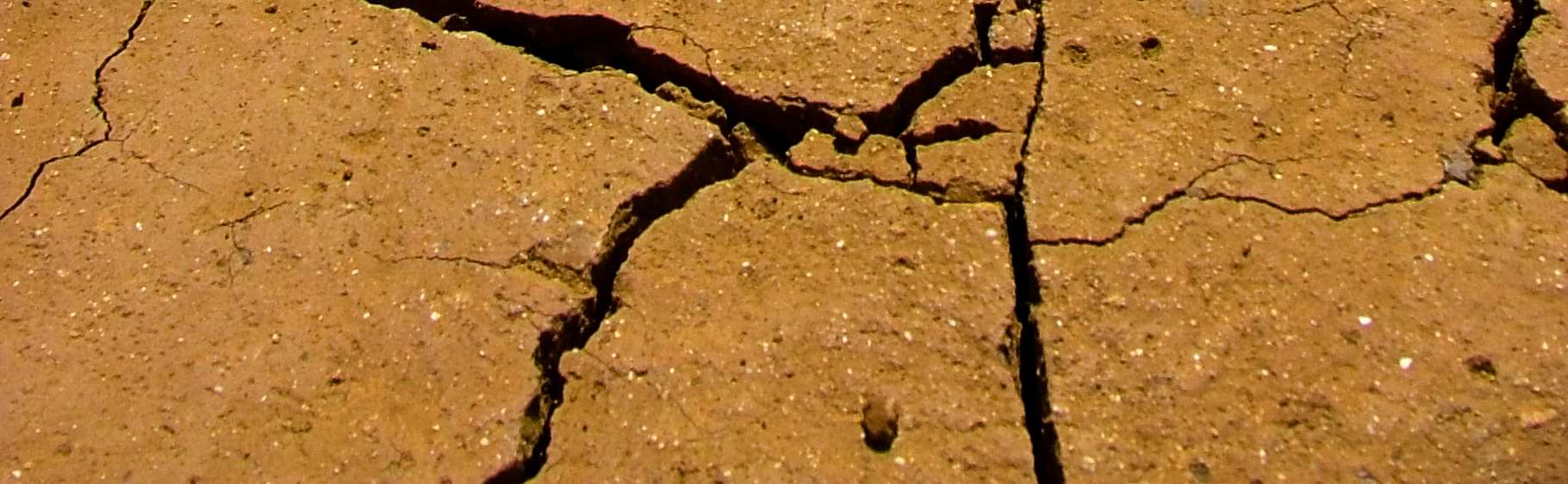 αποτελούν ένα σηµαντικό και αυξανόµενο κίνδυνο. Στα προηγούµενα χρόνια, οι ξηρασίες είχαν κατά µέσο όρο αποτέλεσµα ζηµίας της τάξης των 6 δισεκατοµµυρίων Ευρώ για τις χώρες της ΕΕ.