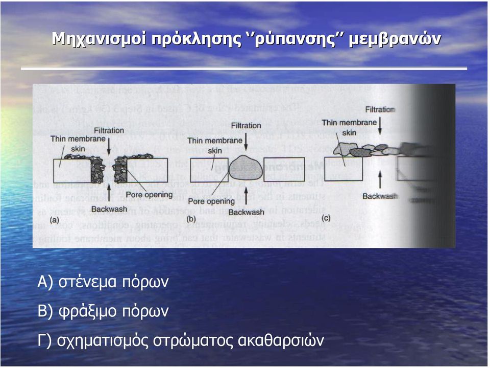 στένεµα πόρων Β) φράξιµο