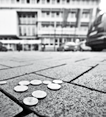 Práve toto však drzo zneužívajú stovky podvodníkov, ktorí so Charita Dobročinnosť s chlad- svojimi kasičkami, hárkami, alebo len prapodivnými historkami útočia na city dobrákov.