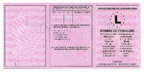 L4 1 2 3 6 9 10 11 12 4c 5 8
