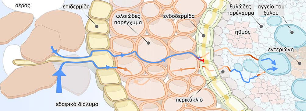 Εικόνα 6.3.