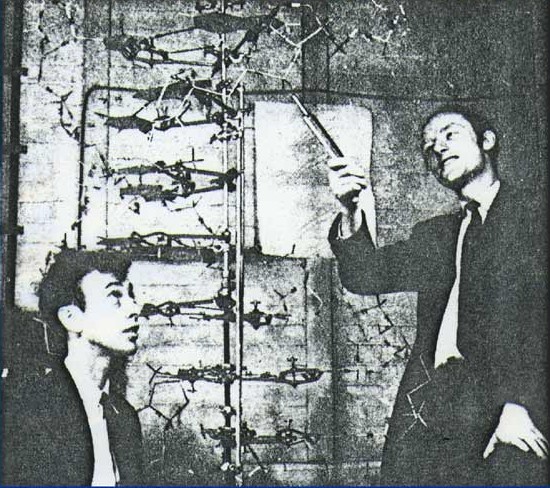 ΚΕΦΑΛΑΙΟ ΠΡΩΤΟ ΧΗΜΕΙΑ ΤΗΣ ΖΩΗΣ ΒΙΟΛΟΓΙΚΑ ΜΑΚΡΟΜΟΡΙΑ Οι James Watson και Francis Crick