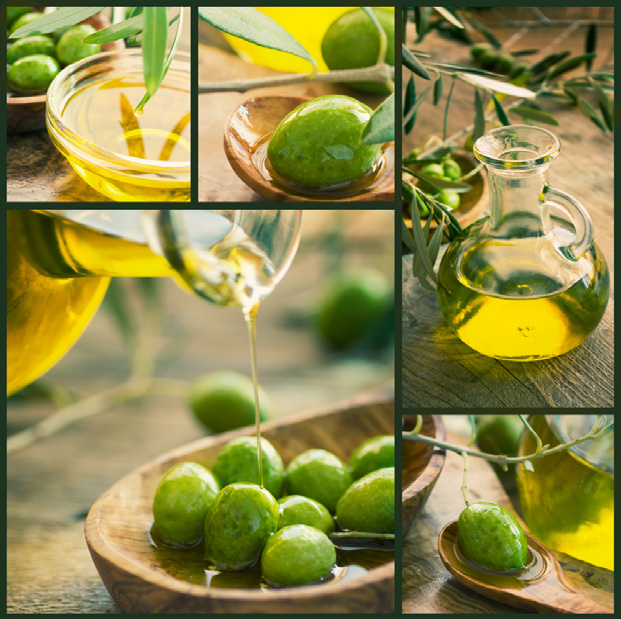 Telefon: (0228) 969569-50 Fax: (0228) 969569-51 email: info@olive-bonn.de www.olive-bonn.de Layout: punkt (.