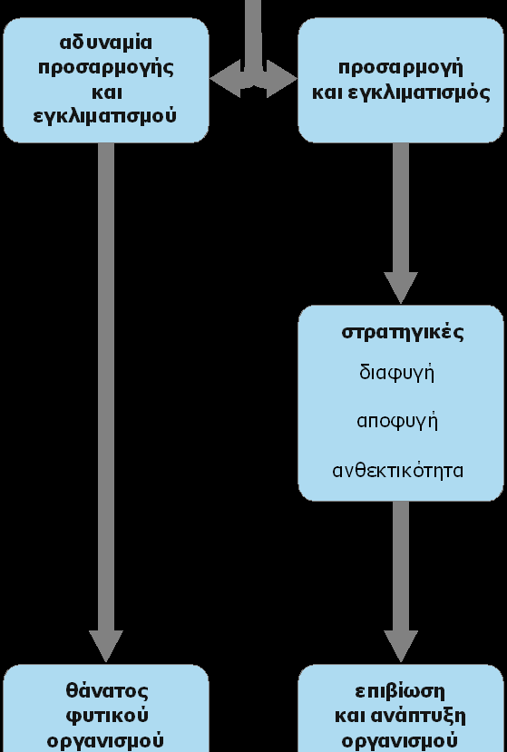 Η Πορεία του Φυτού προς