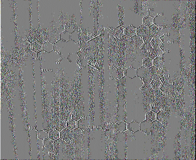 0 2- ((ή 0Η-) + EGCG Η20 2 + EGCG- 502- ((ή ΟΗ-) + EGCG >Αδρανή παράγωγα (Rice- Evans, Miller & Paganga,1997,Yang et al, 1994).