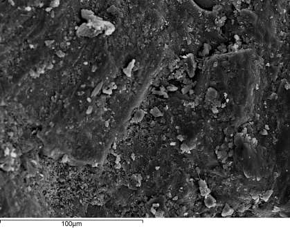 Δ Ε Εικόνα 102: Εικόνες δευτερογενούς εκπομπής ηλεκτρονίων (SEI), όπου φαίνεται η μικροτραχύτητα σε κόκκους αδρανούς υλικού από τα υπό