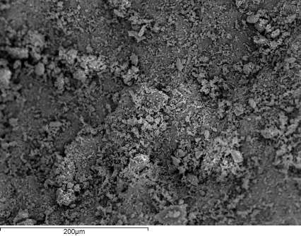 Γ Εικόνα 103: Εικόνες δευτερογενούς εκπομπής ηλεκτρονίων (SEI), όπου φαίνεται η αυξημένη μικροτραχύτητα σε κόκκους αδρανούς δολεριτικού υλικού (Βε24), από τα υπό μελέτη βασικά πετρώματα του