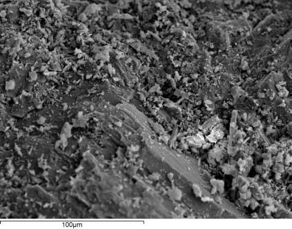 Γ Εικόνα 105: Εικόνες δευτερογενούς εκπομπής ηλεκτρονίων (SEI), όπου φαίνεται η μικροτραχύτητα σε κόκκους αδρανούς κατακλαστικού δολεριτικού υλικού (Βε43), από τα υπό μελέτη βασικά πετρώματα του