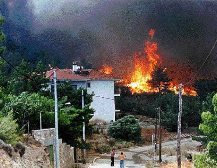 Τα δάση καίγονται οπότε μειώνεται η απορρόφηση του διοξειδίου του