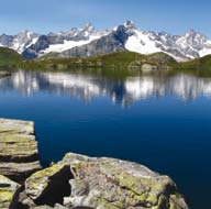 Adjuvante respiratorii Vei găsi în acest capitol câteva dintre recomandările noastre pentru regenrarea capacităţii respiratorii şi suportul împotriva infecţiilor, inflamaţiilor şi alergiilor
