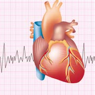 Suportive cardio-vasculare, controlul tensiunii arteriale şi al colesterolului Vei găsi în acest capitol câteva dintre recomandările noastre pentru suportul activităţii inimii, controlul tensiunii